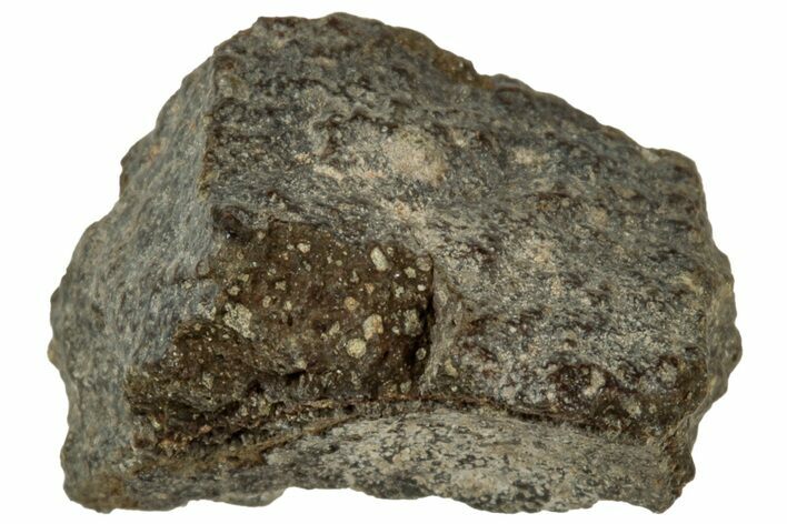 Abadla CM Chondrite Meteorite ( g) - Algeria #313034